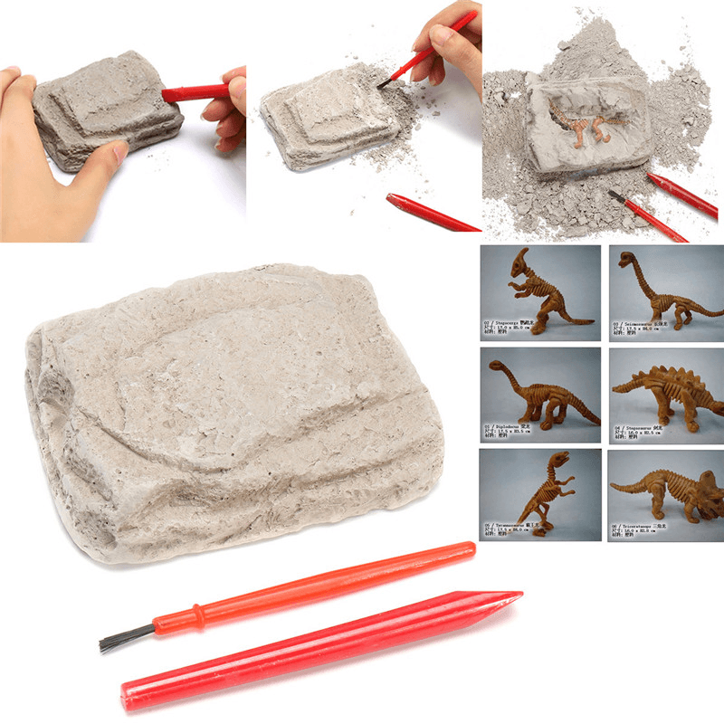 Kit d'excavation de fossiles de dinosaures Archéologie Déterrer l'histoire Squelette Amusant Cadeau pour enfants Jouets