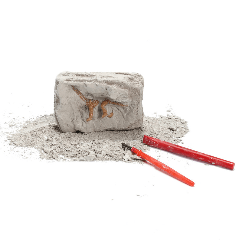 Kit d'excavation de fossiles de dinosaures Archéologie Déterrer l'histoire Squelette Amusant Cadeau pour enfants Jouets