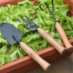 Ensemble d'outils à main de jardin 3 pièces Pelle de jardinage en fer Râteau Truelle Manche en bois