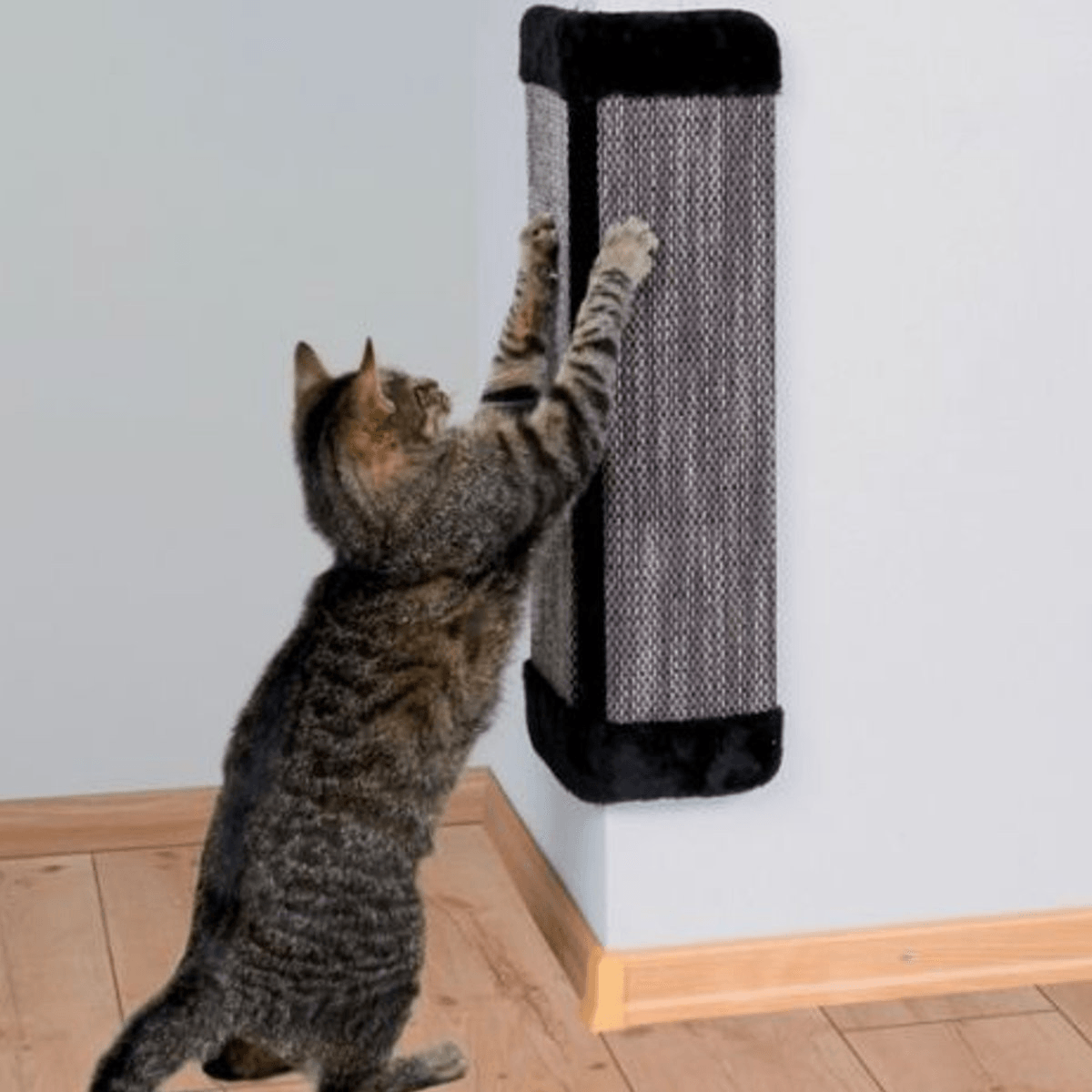 Tablero rascador colgante para pared de 19'' para gatos, tapete, poste, juguetes para mascotas, suministros