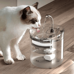 Distributeur d'eau pour animaux de compagnie de 1,8 L avec filtre à circulation automatique