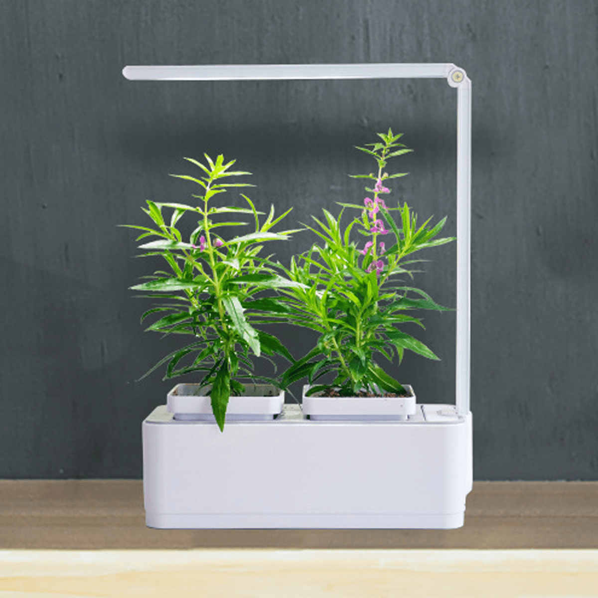 8W Intelligent Automatique Arrosage Pot LED Hors-Sol Hydroponique Pot De Fleur Lampe De Croissance Des Plantes D'intérieur Décoration De La Maison