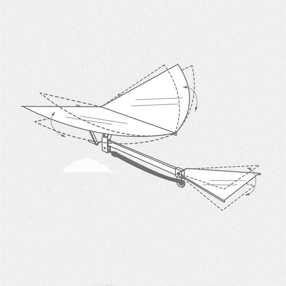 Avión de juguete de fibra de carbono con alas batientes de 18 pulgadas con forma de águila y pájaros, modelo DIY con caja