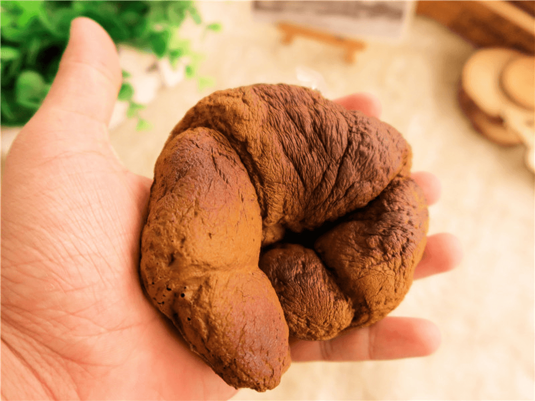 Croissant Bread Squishy 13CM Super Slow Rising Original Packaging Squeeze Toy Fun Gift