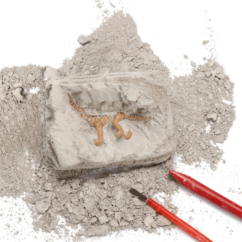 Kit d'excavation de fossiles de dinosaures Archéologie Déterrer l'histoire Squelette Amusant Cadeau pour enfants Jouets