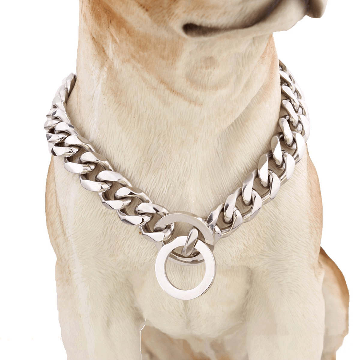 Collier pour chien en acier inoxydable à maillons cubains en argent coupé de 13 mm