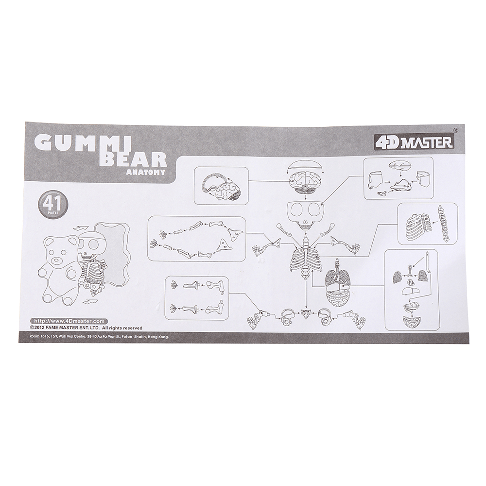 Figura de acción de ensamblaje de anime con esqueleto de oso de goma, modelo de anatomía 4D MASTER STEM, regalos, modelo de animal científico