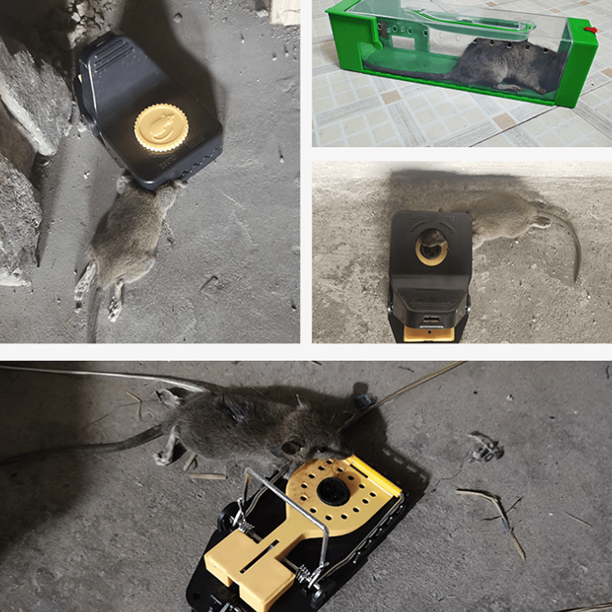 Lot de 6 pièges à souris réutilisables pour rats, rongeurs, pièges à souris