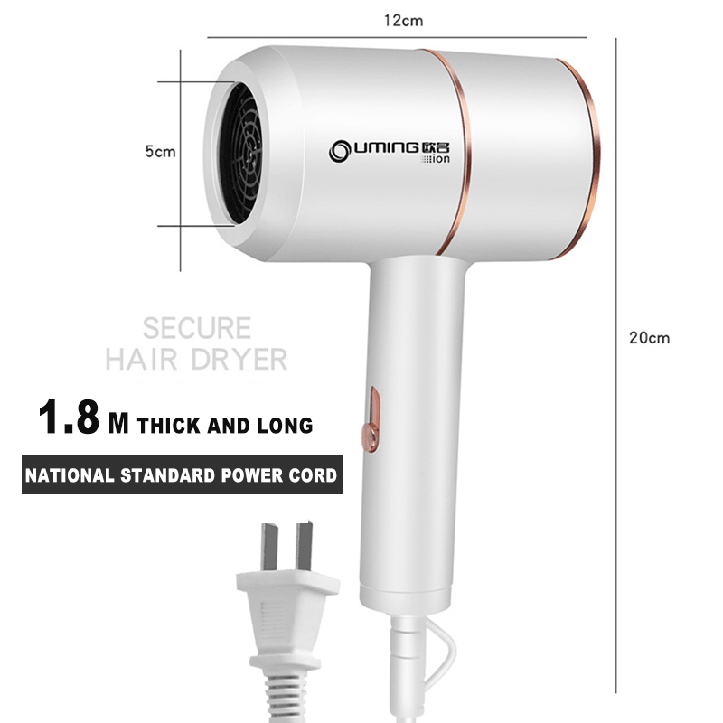 Secador de pelo con soplador de aire termostático de 2000 W y 220 V con iones negativos para peinar el cabello