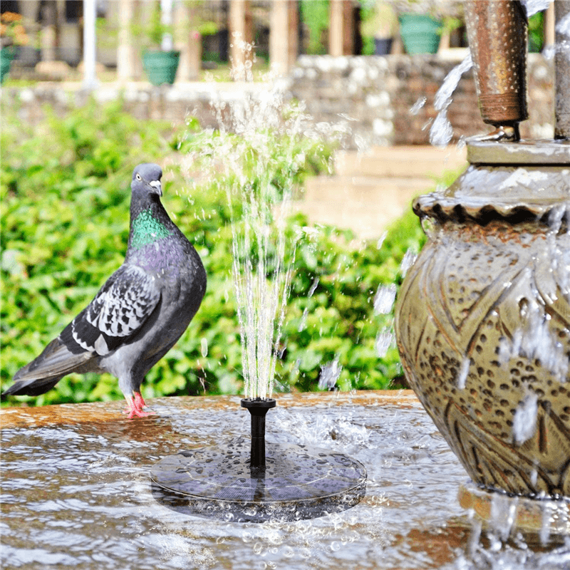 Pompe de fontaine solaire 6 V 2,5 W Batterie de secours 800 mAh Bain d'oiseaux Étang de jardin Piscine