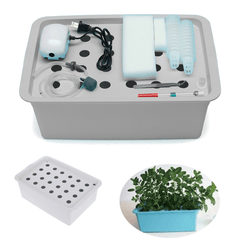 Kit de système hydroponique sans sol 220 V pour culture aérobique intérieure, 24 trous, boîte de culture pour plantation d'eau pour jardin