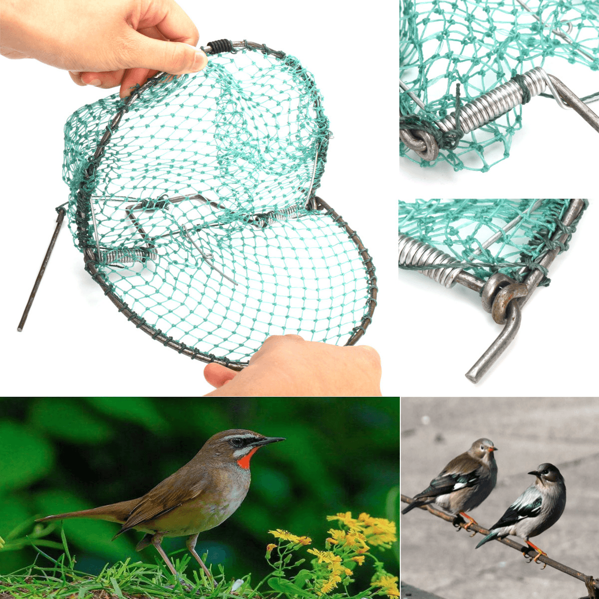 Filet de chasse pour oiseaux robuste de 20 cm pour moineaux, pigeons, étourneaux, piège à oiseaux vivants sans cruauté