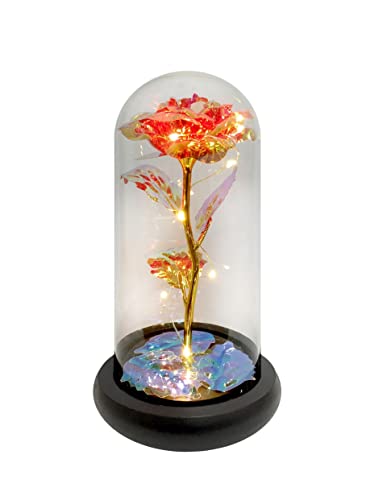 Rose préservée faite à la main dans un dôme en verre transparent avec éclairage LED - Un cadeau magnifique et unique pour toute occasion Fleurs artificielles | Piles incluses (rouge)