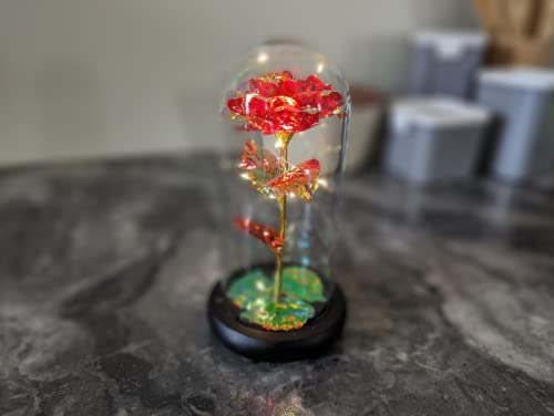 Rose préservée faite à la main dans un dôme en verre transparent avec éclairage LED - Un cadeau magnifique et unique pour toute occasion Fleurs artificielles | Piles incluses (rouge)