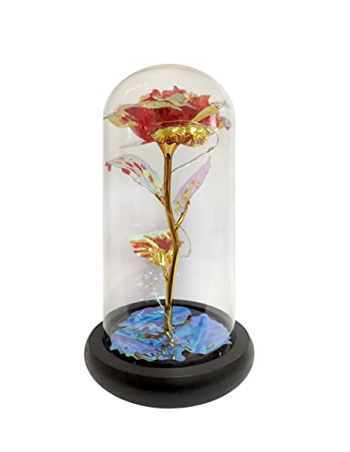 Rose préservée faite à la main dans un dôme en verre transparent avec éclairage LED - Un cadeau magnifique et unique pour toute occasion Fleurs artificielles | Piles incluses (rouge)