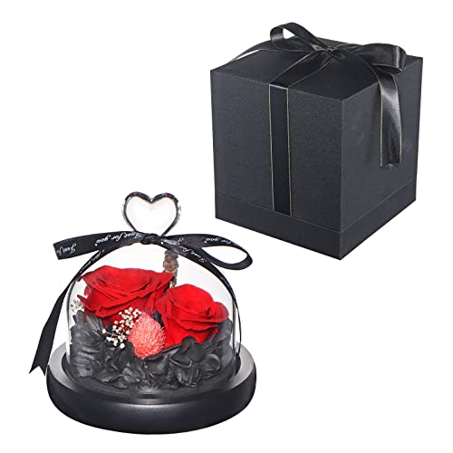 Eternal Preserved Real Rose in Beautiful Creative Heart Design Strong Glass Dome,Preserved Rose Gift Box for Mum, Wife, Girlfriend, Mother's Day, Valentine's Day, Anniversary and Birthday (Red 2#) … …