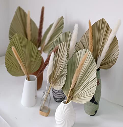 Lot de 7 feuilles de palmier séchées naturelles de 50,8 cm de hauteur x 22,9 cm de largeur, 10 tiges d'herbe de pampa séchée naturelle pour décoration de maison, de mariage ou de fête