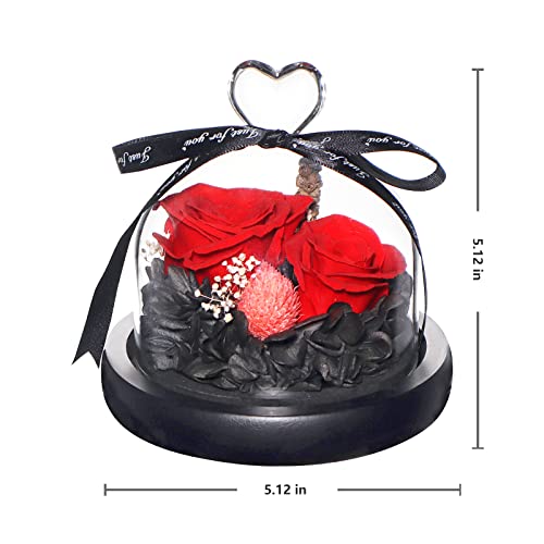 Eternal Preserved Real Rose in Beautiful Creative Heart Design Strong Glass Dome,Preserved Rose Gift Box for Mum, Wife, Girlfriend, Mother's Day, Valentine's Day, Anniversary and Birthday (Red 2#) … …