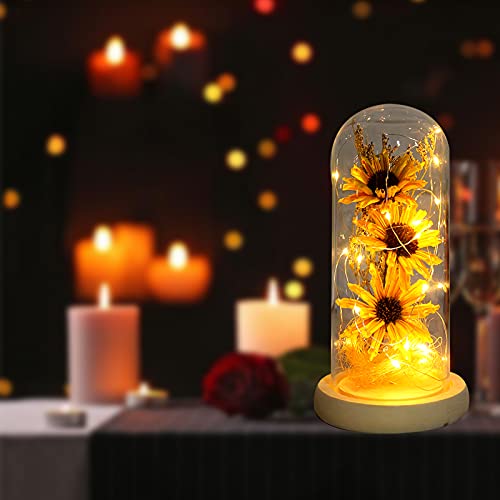 Enchanted Sunflower Flower Lamp Artificial Sunflower in Glass Dome Romantic Gifts for Women, Home Decoration with LED Light for Valentines Day Mothers Day Birthday Anniversary Christmas Day