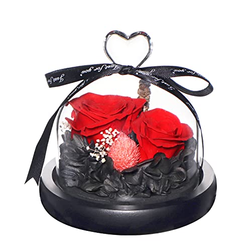 Eternal Preserved Real Rose in Beautiful Creative Heart Design Strong Glass Dome,Preserved Rose Gift Box for Mum, Wife, Girlfriend, Mother's Day, Valentine's Day, Anniversary and Birthday (Red 2#) … …