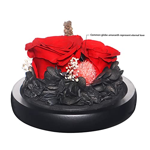 Eternal Preserved Real Rose in Beautiful Creative Heart Design Strong Glass Dome,Preserved Rose Gift Box for Mum, Wife, Girlfriend, Mother's Day, Valentine's Day, Anniversary and Birthday (Red 2#) … …