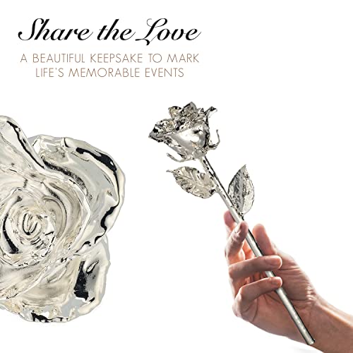 Forever Rose, une véritable rose en argent pur, unique en son genre, avec un vase en verre transparent, trempée à la main dans de la laque et garnie de rose argentée