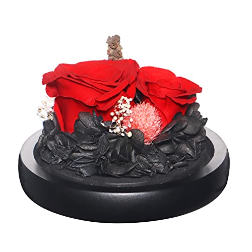 Eternal Preserved Real Rose in Beautiful Creative Heart Design Strong Glass Dome,Preserved Rose Gift Box for Mum, Wife, Girlfriend, Mother's Day, Valentine's Day, Anniversary and Birthday (Red 2#) … …