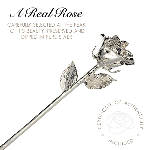 Forever Rose, une véritable rose en argent pur, unique en son genre, avec un vase en verre transparent, trempée à la main dans de la laque et garnie de rose argentée