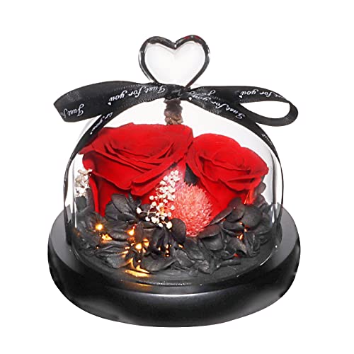 Eternal Preserved Real Rose in Beautiful Creative Heart Design Strong Glass Dome,Preserved Rose Gift Box for Mum, Wife, Girlfriend, Mother's Day, Valentine's Day, Anniversary and Birthday (Red 2#) … …