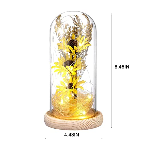 Enchanted Sunflower Flower Lamp Artificial Sunflower in Glass Dome Romantic Gifts for Women, Home Decoration with LED Light for Valentines Day Mothers Day Birthday Anniversary Christmas Day