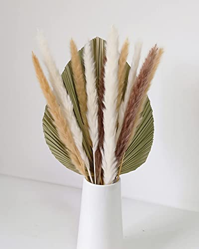 Lot de 7 feuilles de palmier séchées naturelles de 50,8 cm de hauteur x 22,9 cm de largeur, 10 tiges d'herbe de pampa séchée naturelle pour décoration de maison, de mariage ou de fête