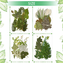 84 Pièces Feuilles Pressées Séchées Fleurs Séchées pour Résine Feuilles Séchées pour Résine Mini Fleurs Séchées pour Artisanat Verdure Séchée Assortiment de Feuilles Séchées pour Art Signets Faits Main DIY 4 Sacs (Style Vif)