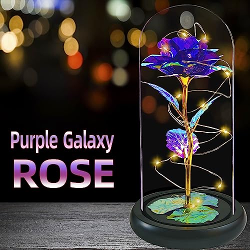 Jeekgsk Birthday Gifts for Women,Women Gifts for Christmas,Light up Rose in Glass Dome,Roses Flower Gifts for Mom,Valentine's Day Gifts Wedding Anniversary Thanksgiving (Purple)