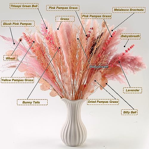 Bouquet d'herbe de pampa séchée naturelle rose Acfruits, 17 pouces, arrangement de fleurs séchées décoratives en herbe de pampa rose blush pour la décoration de mariage à la maison