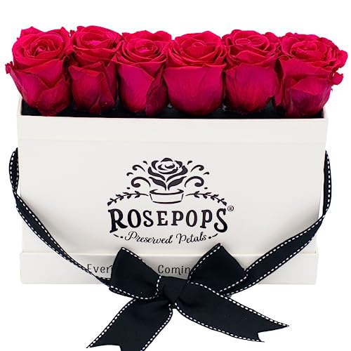 Roses préservées pop-up ROSEPOPS - Fleurs parfumées qui durent un an ou plus - Boîte rectangulaire blanche en faux pot (roses framboise punch)