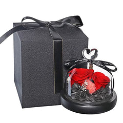 Eternal Preserved Real Rose in Beautiful Creative Heart Design Strong Glass Dome,Preserved Rose Gift Box for Mum, Wife, Girlfriend, Mother's Day, Valentine's Day, Anniversary and Birthday (Red 2#) … …