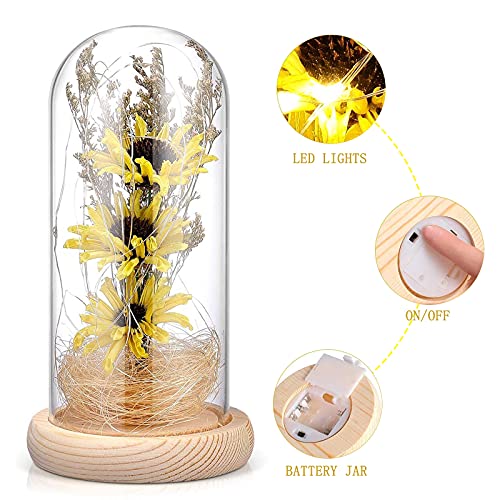 Enchanted Sunflower Flower Lamp Artificial Sunflower in Glass Dome Romantic Gifts for Women, Home Decoration with LED Light for Valentines Day Mothers Day Birthday Anniversary Christmas Day