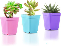 5 piezas de mini maceteros cuadrados para plantas suculentas, bandejas para decoración del hogar y la oficina, suministros de bricolaje para jardín 