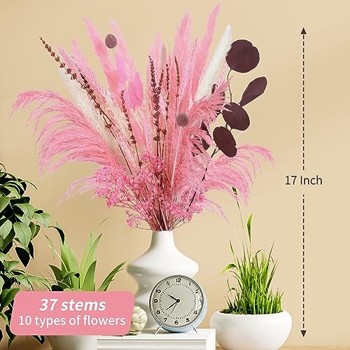 Natural Pink Pampas Grass Dried Flower Decor, 10 Kinds Mix Bundles Blush Pampas, Lavender & Baby Breath, Real Plants Bridesmaid Bouquets for Wedding Floral Bathroom Rustic Party Home Fall Decor