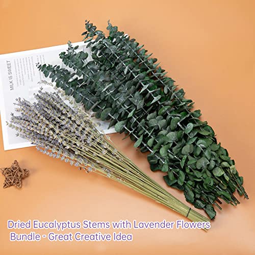 Paquete de 115 tallos de eucalipto secos con flores de lavanda para ducha, hojas de eucalipto reales naturales de 17 pulgadas, ramas colgantes para ducha, para spa, fragancia para el hogar, baño, mesa, jarrón, decoración