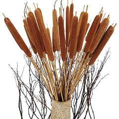 Lot de 40 fleurs séchées géantes naturelles pour arrangement floral, décoration de mariage ou de maison, 61 cm