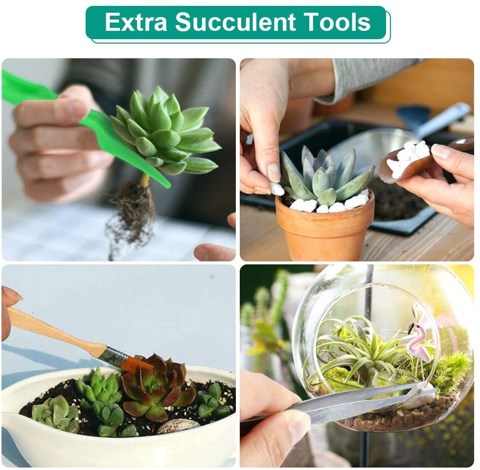 Ensemble d'outils de jardinage tout-en-un 