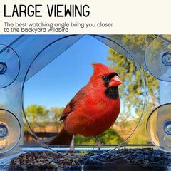 Breezy Window Bird Feeder | Clear Acrylic, Easy to Clean