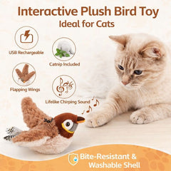 Buzzy BirdBuddy Cat Toy | Interactive, USB Rechargeable
