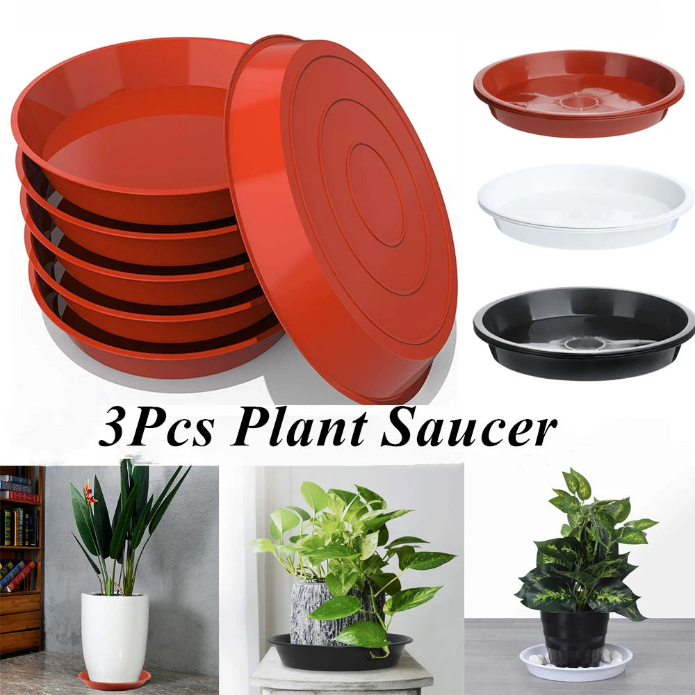 Round Plastic Plant Saucers, 4–10 in, 3 Pack