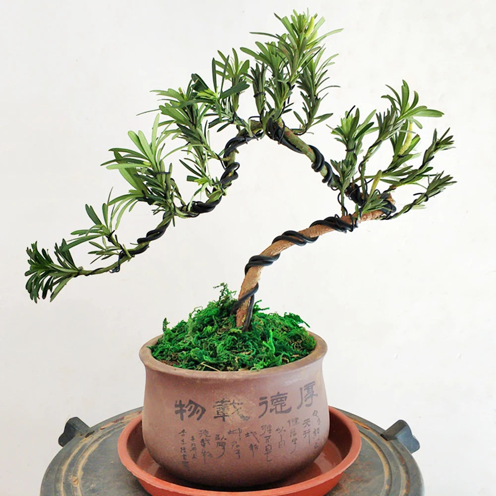 Black Aluminum Bonsai Wire, 1–5 mm, 5 m