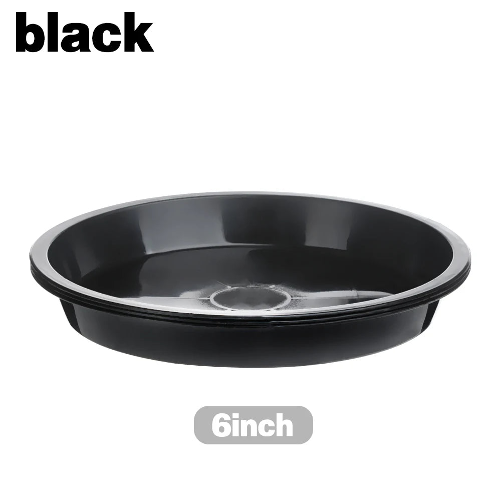 Round Plastic Plant Saucers, 4–10 in, 3 Pack