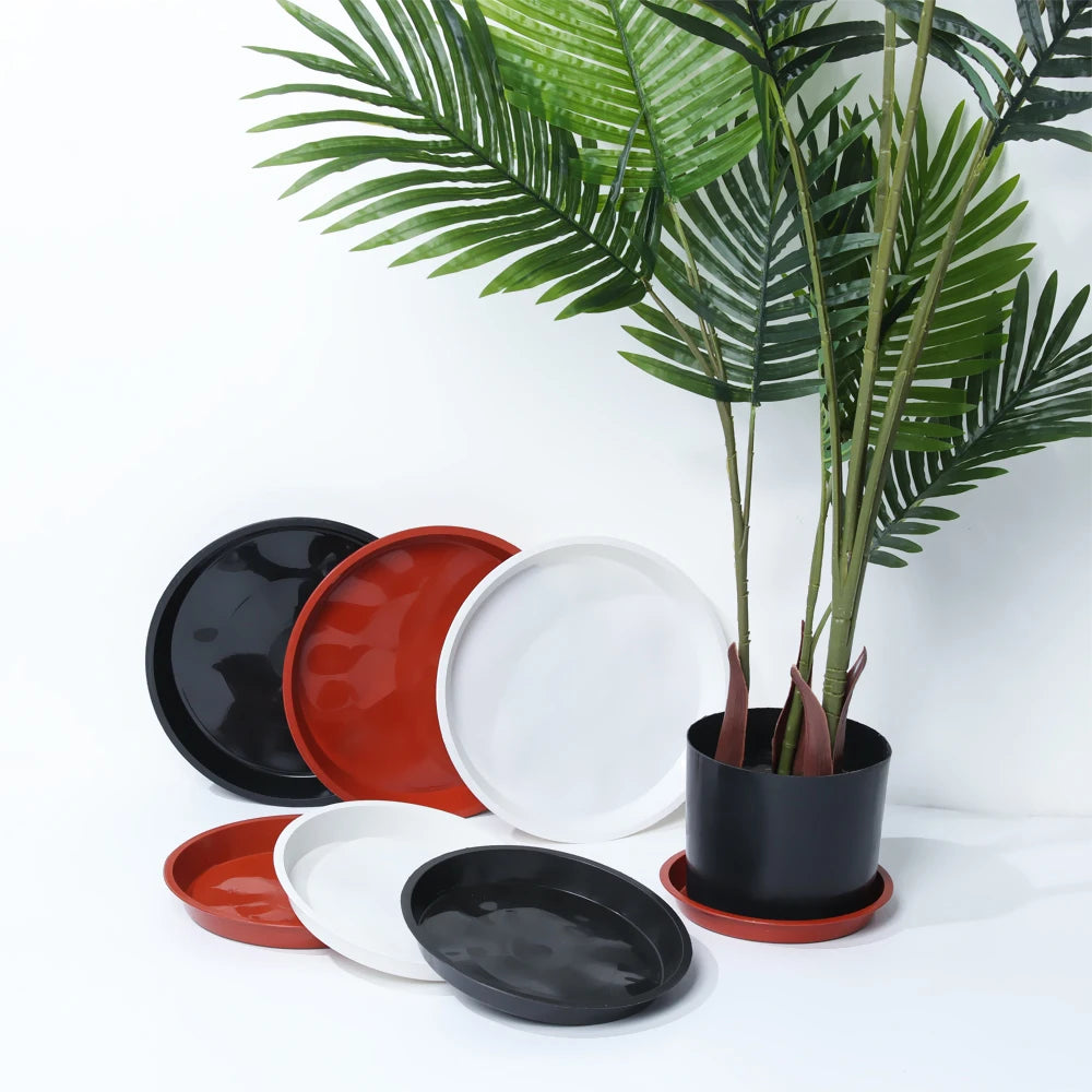 Round Plastic Plant Saucers, 4–10 in, 3 Pack