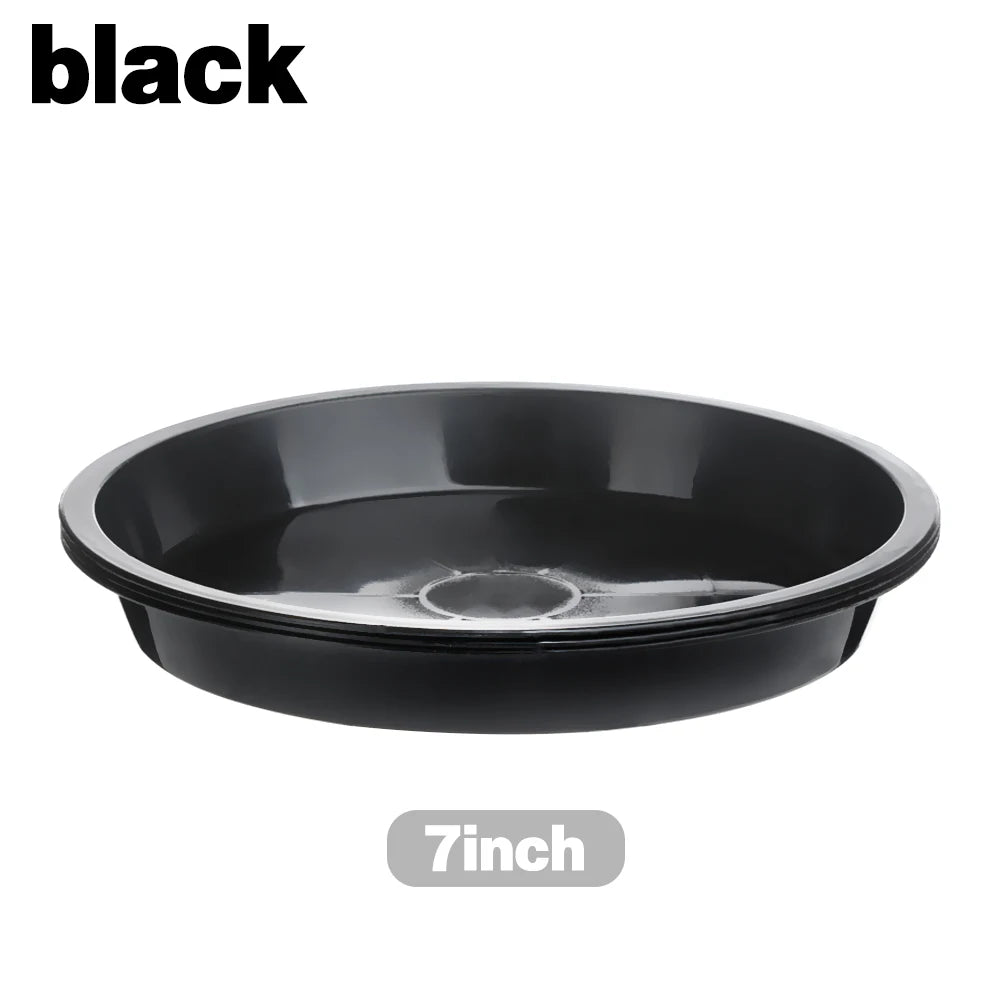 Round Plastic Plant Saucers, 4–10 in, 3 Pack