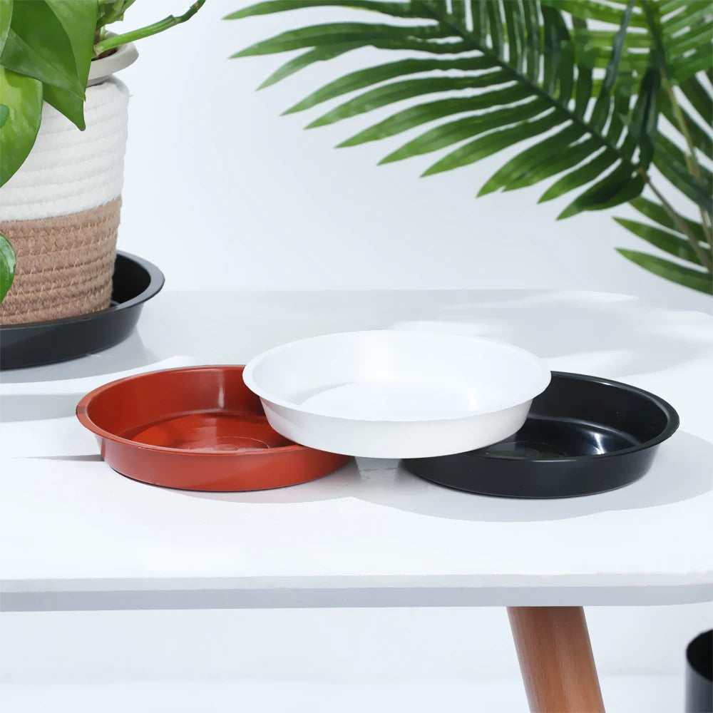 Round Plastic Plant Saucers, 4–10 in, 3 Pack